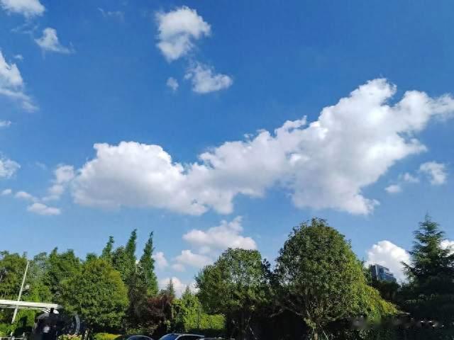 人只有远离人群才能做出最佳判断，为什么这么说呢？