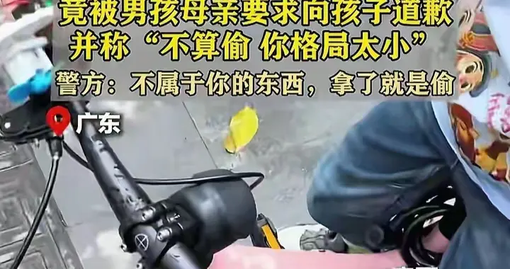 男孩骑走自行车后续，母亲大闹谎话连篇，婆婆带着去道歉！