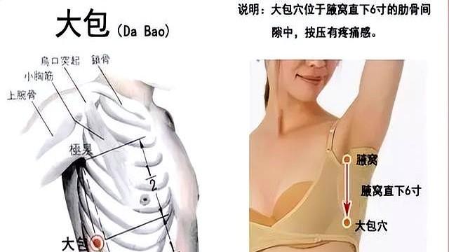 肩周炎，一穴妙用，两穴共用，效果好！