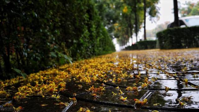 寒秋冷雨