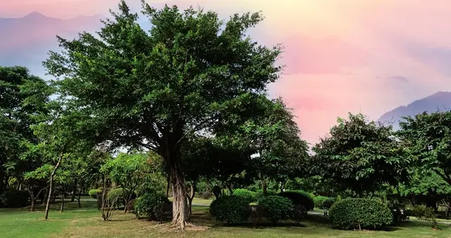 当年那个抱着《西游记》玩偶、满嘴“观音菩萨”的小萌娃