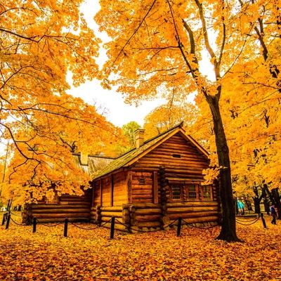 优雅小羊eX：北京的秋天特别美丽，老舍都