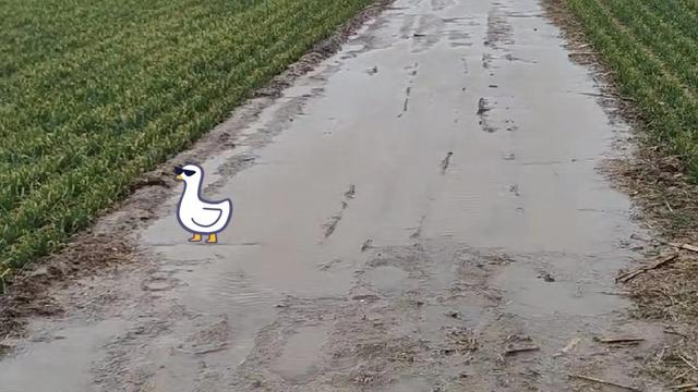 向阳而生：春天一到，人就跟着有劲头了。