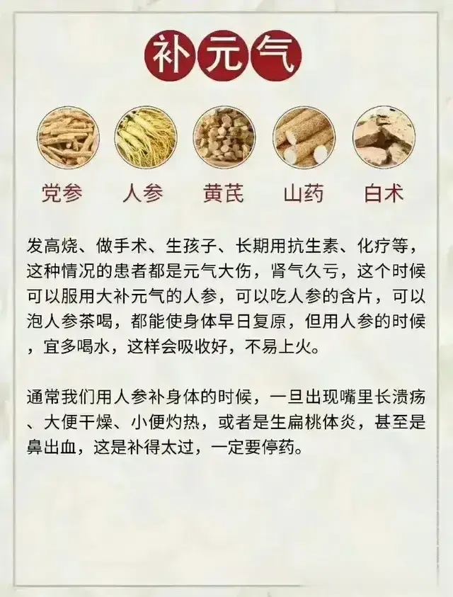 从脾到肾，全方位中药滋补方案，让你元气满满每一天！
