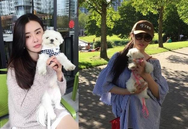 56岁王祖贤久违登台演讲，身材圆润发福明显，脖子前倾还驼背