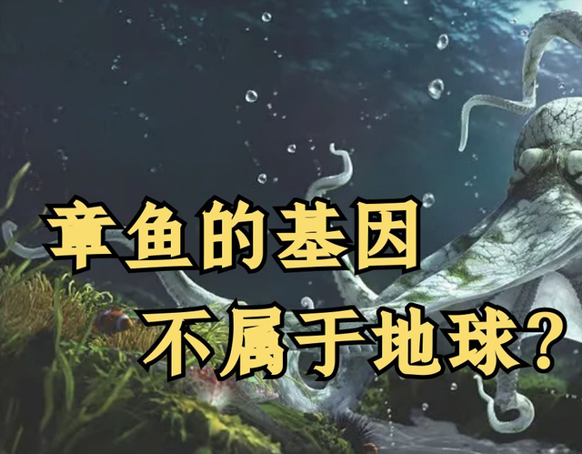基因实验的可怕真相 章鱼的逆天进化 基因锁拯救了人类 ？