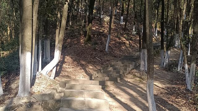 阿梅说说聊聊：男人越穷他就会对女人越差