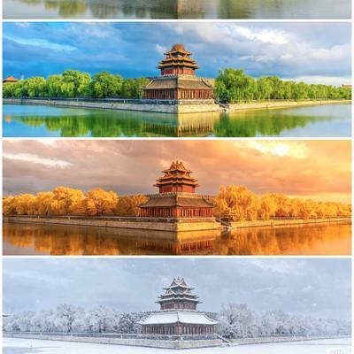 有匪君子er~：一张是ai，一张是实拍？