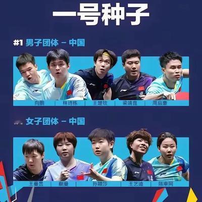 生如夏花般绚烂：小胖不回来，就把大梦和张