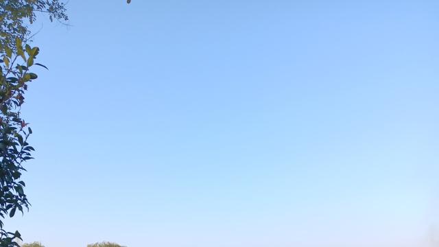 乐天派葡萄A7：彻底摆脱对石油的依赖才是