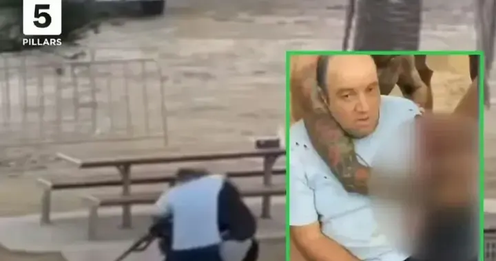 悉尼枪击案嫌犯系父子，一死一伤！平民大爷徒手勇夺枪！