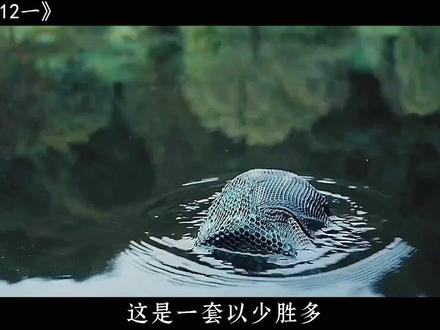 对越自卫反击战：传奇712（一） 越军究竟有多狡猾？为攻下解放军1个团级阵地，竟然出动6个团