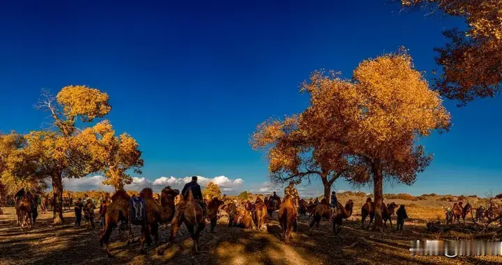 风光摄影的风格拼图：大自然与艺术的多元碰撞