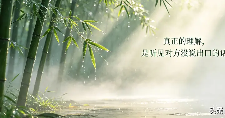 读完张大乾家族论，好人书打破我对家庭幸福的固有想象
