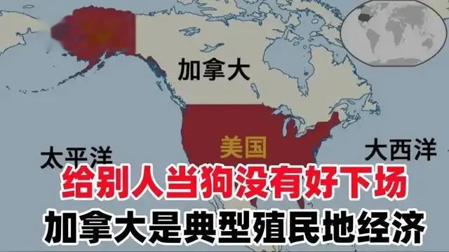 中国对加拿大部分商品加征100%关税