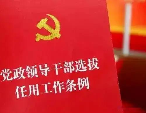 什么是后备干部，哪些人能作为后备干部培养？