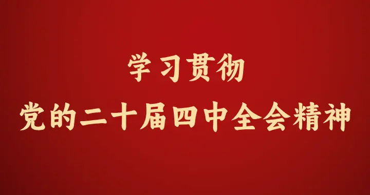 “银龄四叶草” 发光发热 化身社区治理 “多面手”