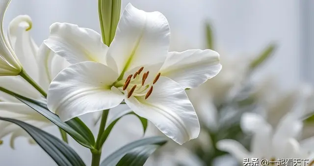 孤立攻击打压你的人，都是把你往死里逼，所以，不必原谅任何人