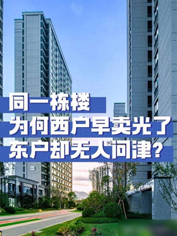 同一栋楼，为何西户早卖光了，东户却无人问津？内行人透露真相了