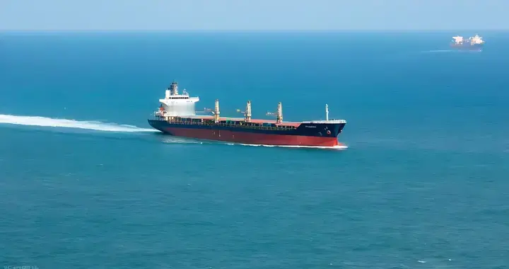 2026年干散货市场展望