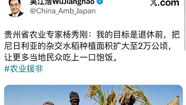 李满：朋友徐小林的朋友王同学在非洲几内亚