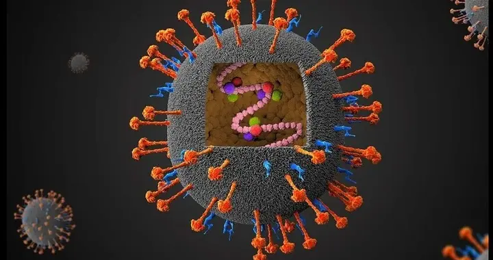 印度尼帕病毒肆虐！无药可治致死75%更胜新冠