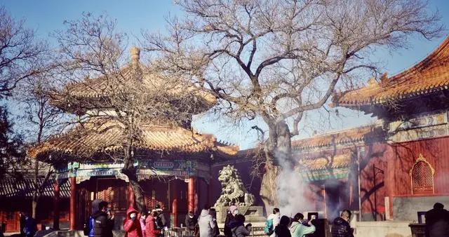 当00后开始占领雍和宫：我们不是在拜佛，是在给灵魂“回血”