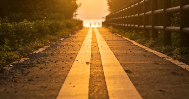 生活摄影小技巧｜普通日子也能拍出温柔光影