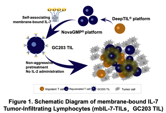 TIL疗法治疗妇科肿瘤疾病控制率达83%，现开放临床试验招募!