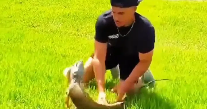 这是什么动物？