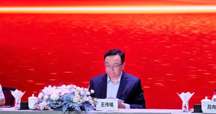 王传福定下目标，2030年比亚迪销量全球第一，真实力藏不住了！