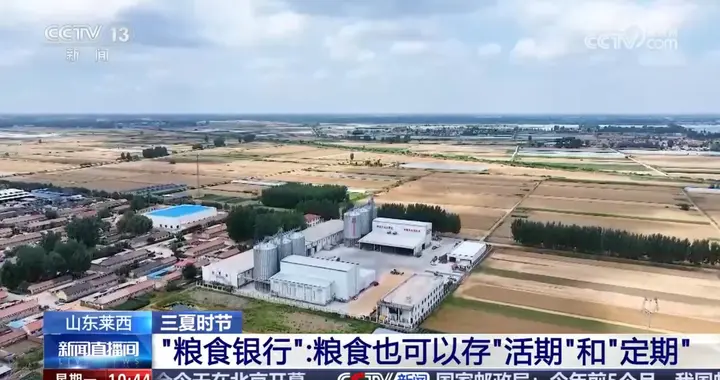 粮安天下，“银行”何以守仓？