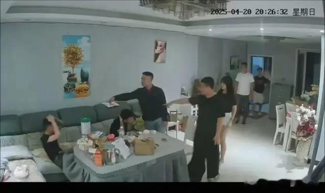 四名男子冒充警察上门抢孩子，其母吓到抑郁发作自杀