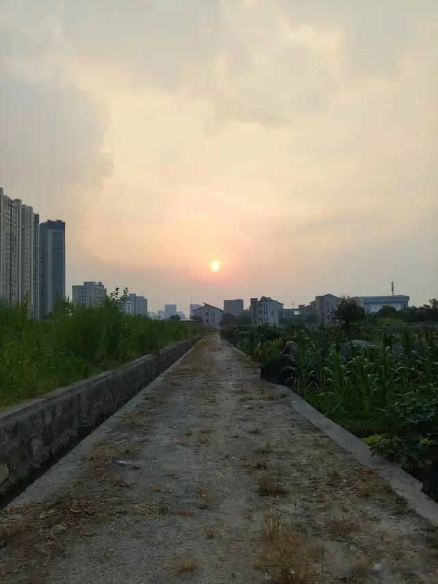情人要放弃你的几个表现！
