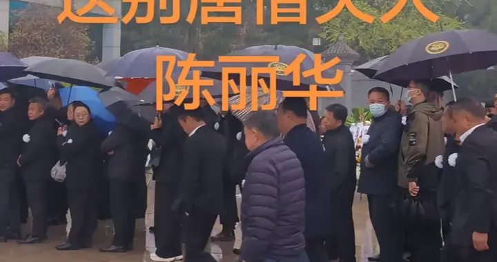 众好友送别陈丽华，朱军白岩松面色凝重，迟重瑞及子女行色急促