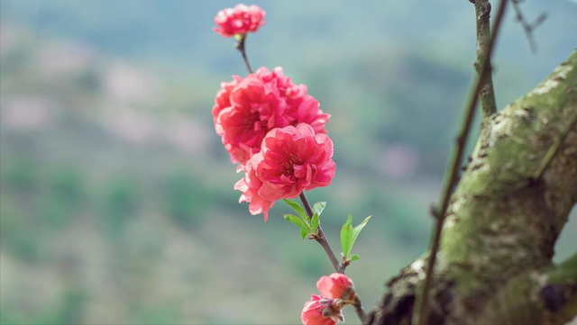 2025年五一即将开启人生好运的几个星座，越来越好