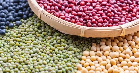 微量元素铁的作用：生命不可或缺的“铁”力量