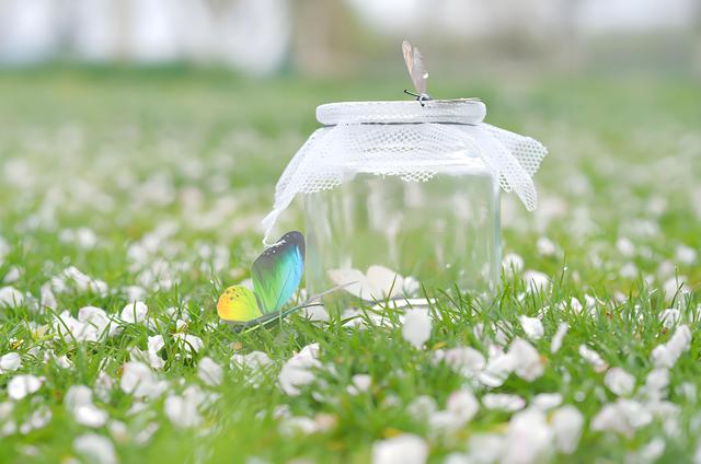 把蝴蝶放在瓶子里称重，蝴蝶飞行和落到瓶底的重量是一样的吗？