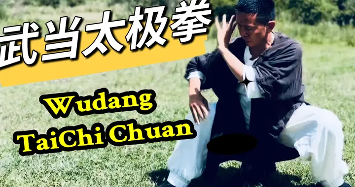 《太极拳论》真解：从招熟到神明的修炼体系