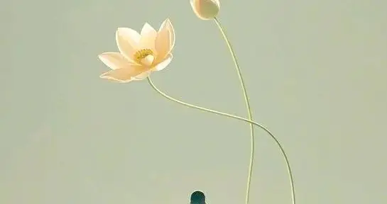 帮人一把之后，我悟了：最好的回报，是心里那点暖