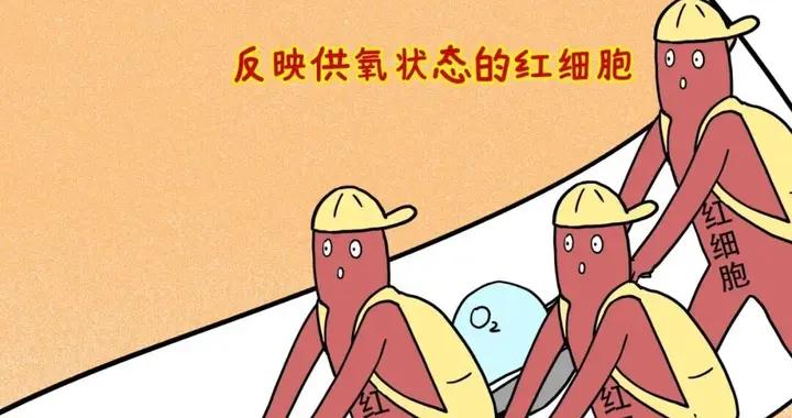 血常规报告上有箭头就是健康亮红灯？别自己吓自己啦！