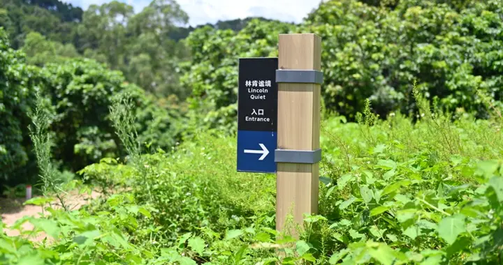 自驾实测！新手也能拿捏的雨林轻越野
