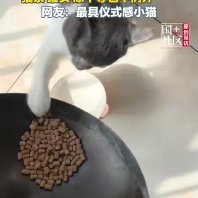 赛尔先锋小队：4月12日，河南洛阳。女子