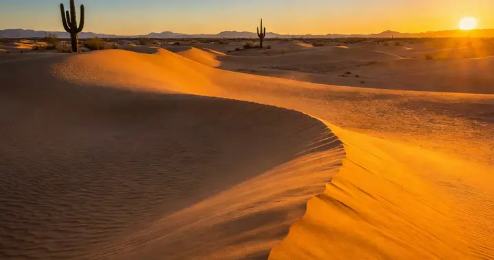 35岁男子自曝孕期出轨