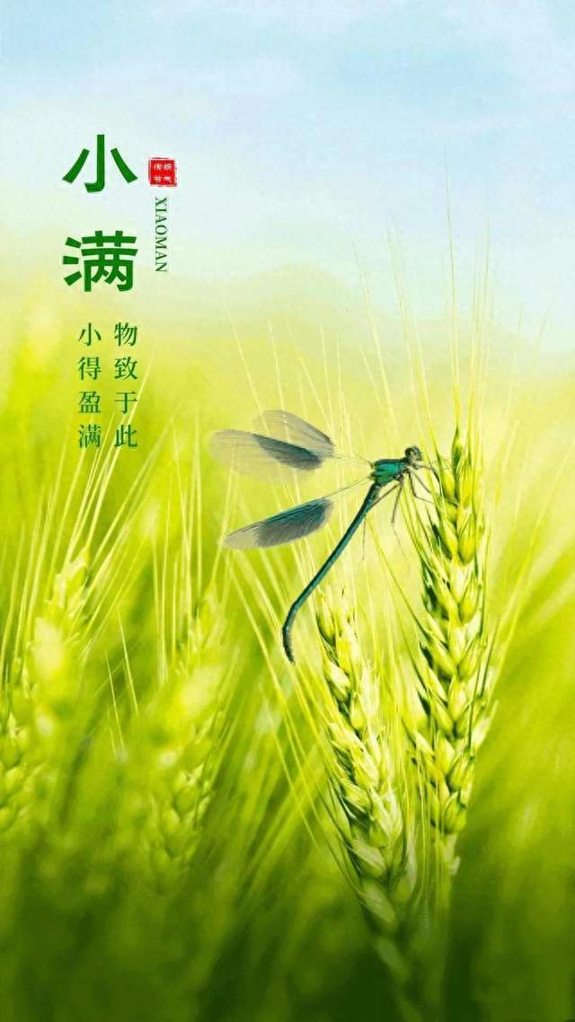我爱江南小满天——文彭《四月》赏析