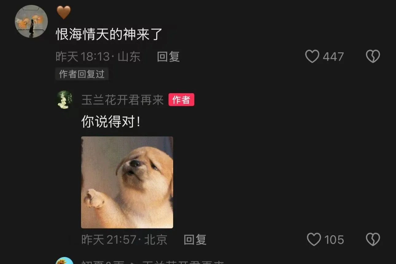 恨海情天的神来了