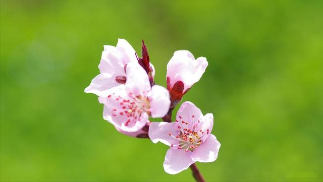 这几个星座好性格真的能带来好运，慢慢修炼总能遇见更好的自己