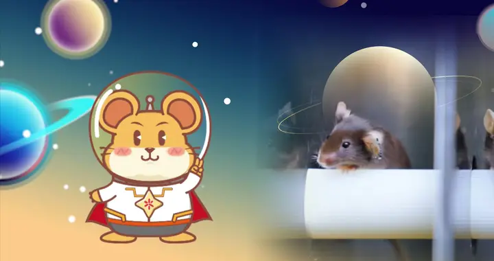 鼠鼠我呀要上天啦！"小身躯"书写"大梦想