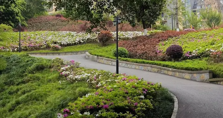 重庆第二座“中央公园”：被严重低估的龙洲公园，到底有多绝？