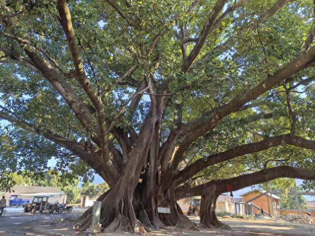 我的直肠癌经历之二十九。